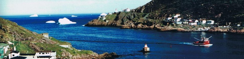 St John's Newfoundland Narrows